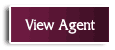 View Agent